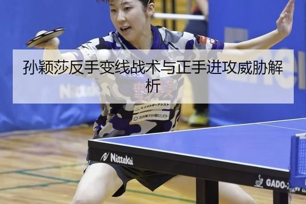 sun-ying-sha-fan-shou-bian-xian-zhan-shu-yu-zheng-shou-jin-gong-wei-xie-jie-xi-3-912.jpg