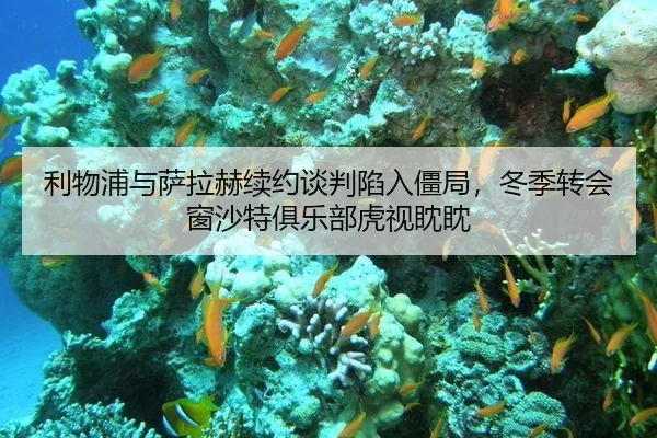利物浦与萨拉赫续约谈判陷入僵局，冬季转会窗沙特俱乐部虎视眈眈