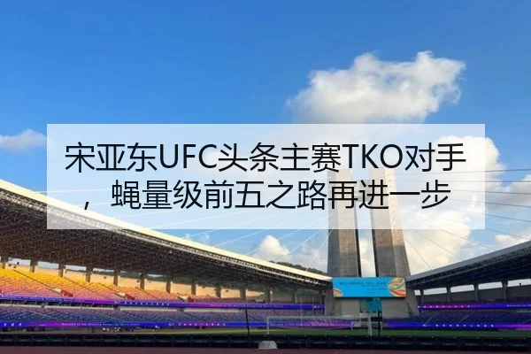 宋亚东UFC头条主赛TKO对手，蝇量级前五之路再进一步