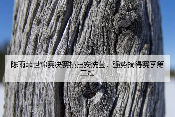 chen-yu-fei-shi-jin-sai-jue-sai-heng-sao-an-xi-ying-qiang-shi-zhai-de-sai-ji-di-er-guan-3-275.jpg