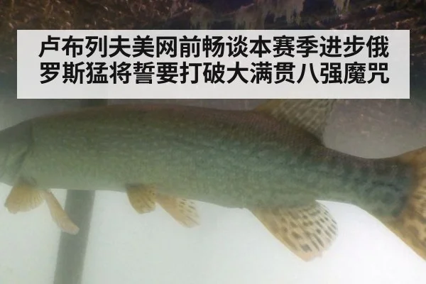 卢布列夫美网前畅谈本赛季进步俄罗斯猛将誓要打破大满贯八强魔咒